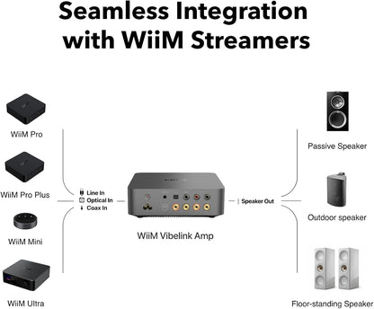 WiiM Vibelink Amp 解码合并放大器 - Gordon's Audiovisual
