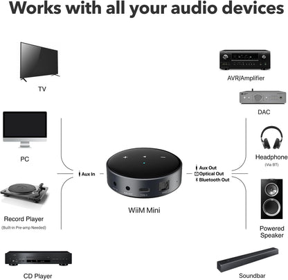 WiiM Mini Mini音乐播放器 - Gordon's Audiovisual