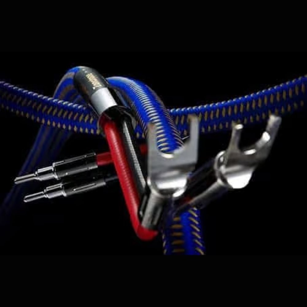 Royal Spirit SP - X - Gordon's Audiovisual