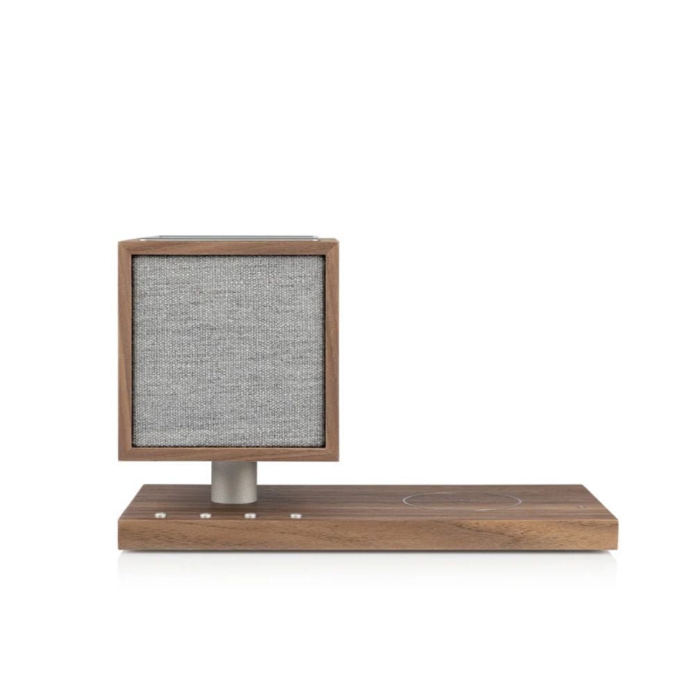 Revive G2 - Gordon's Audiovisual