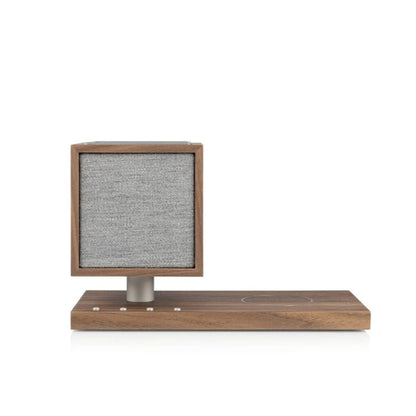 Revive G2 - Gordon's Audiovisual