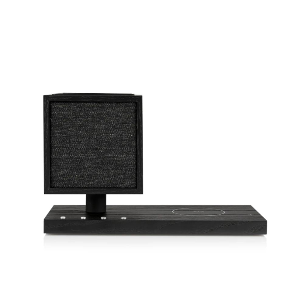 Revive G2 - Gordon's Audiovisual